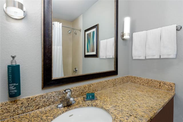 1 KNG 2 RM EXEC SUITE W/SOFABED - NON SMOKING