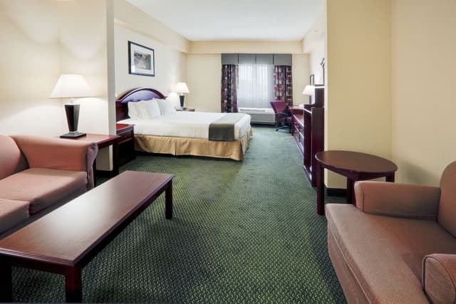 Room, 1 King Bed with Sofa bed