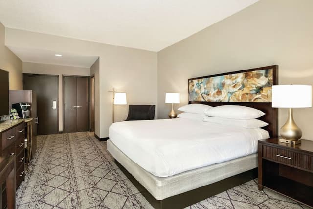 Room, 1 King Bed, Accessible, Non Smoking
