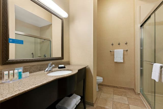 1 KING BED STUDIO SUITE NONSMOKING