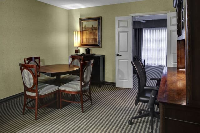 Suite, 1 King Bed with Sofa bed
