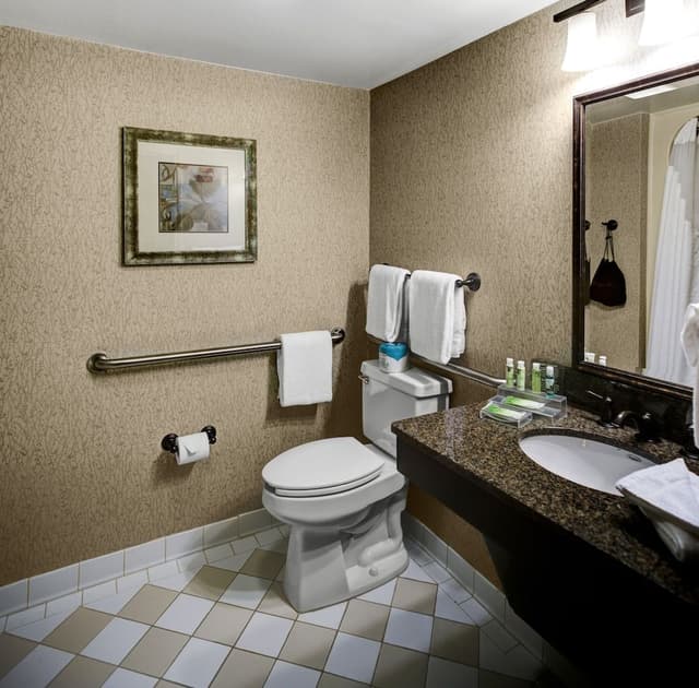 Standard Room, 1 King Bed, Accessible (Comm Accessible)