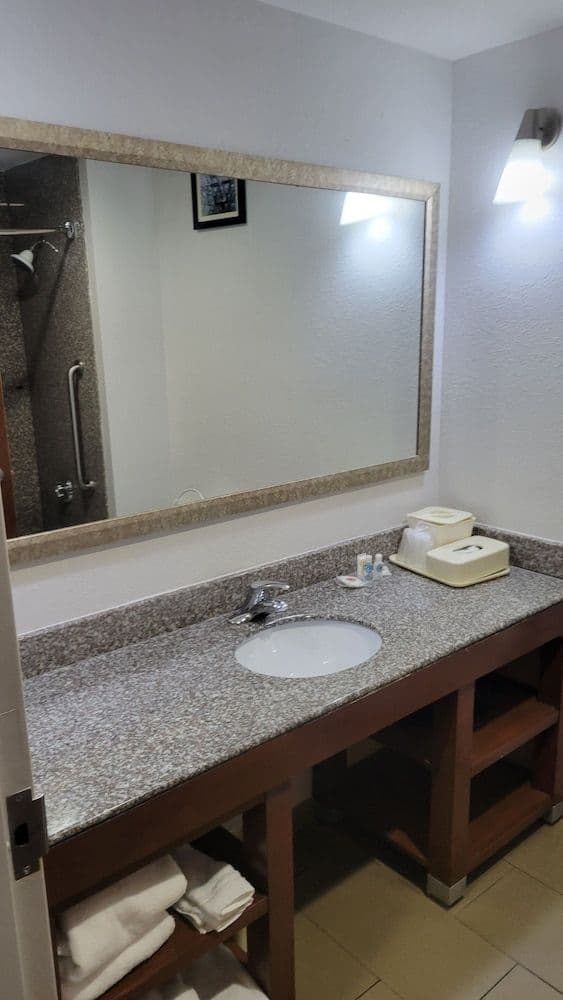 Suite, 1 King Bed, Non Smoking