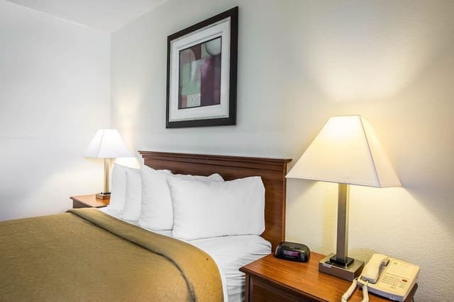 Standard Room, 1 King Bed with Sofa bed, Non Smoking