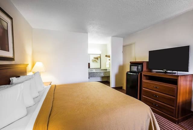 Standard Room, 1 King Bed with Sofa bed, Non Smoking