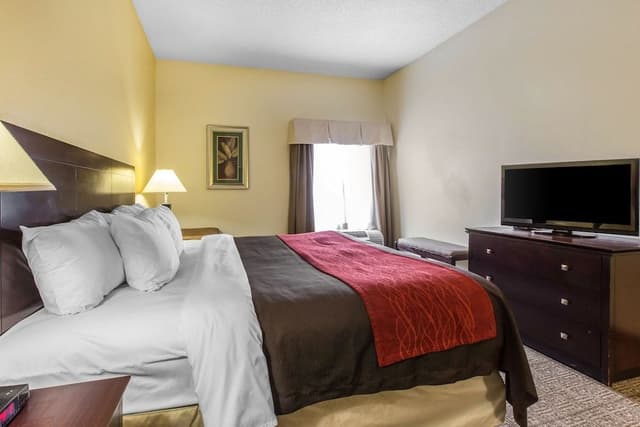 Room, 1 King Bed, Accessible, Non Smoking