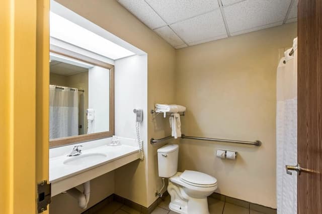 Room, 1 King Bed, Accessible, Non Smoking