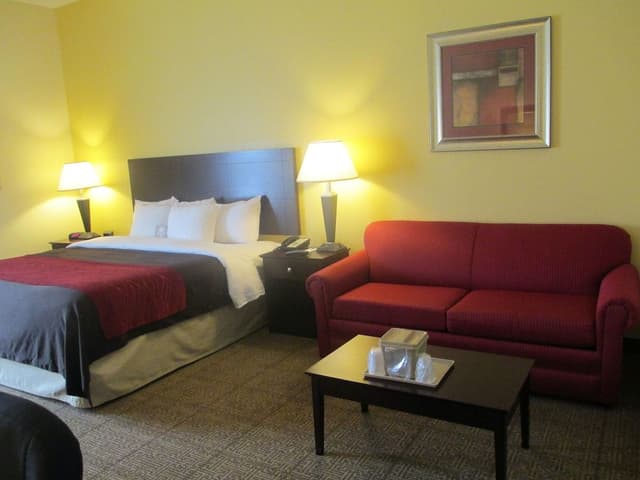 Standard Room, 1 King Bed with Sofa bed, Non Smoking