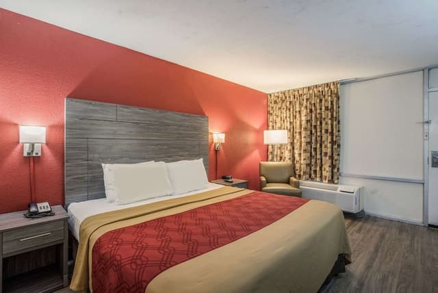 Room, 1 King Bed