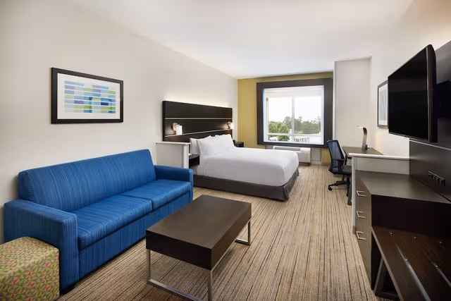 Suite, 1 King Bed with Sofa bed