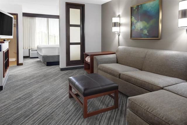 Room, 1 King Bed, Accessible, Bathtub