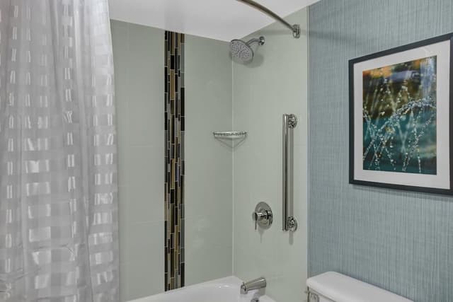 Room, 1 King Bed, Accessible, Bathtub