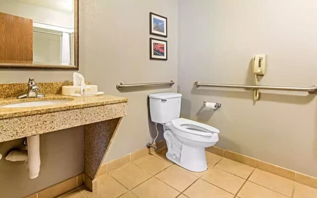 Suite, 1 King Bed with Sofa bed, Non Smoking
