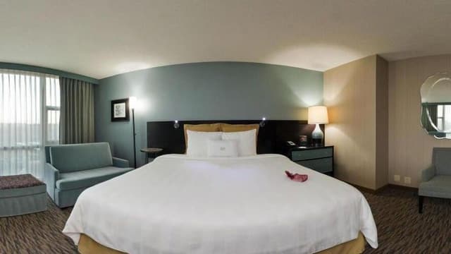 Suite, 1 Bedroom, Accessible (Communications)