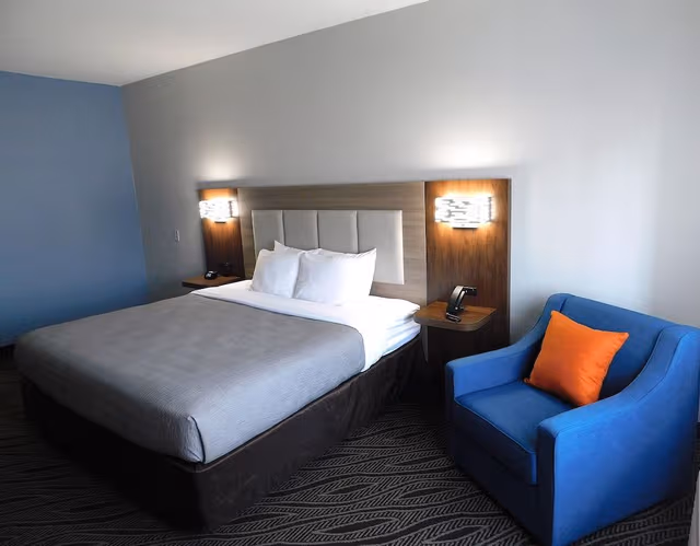 Standard Room, 1 King Bed, Non Smoking