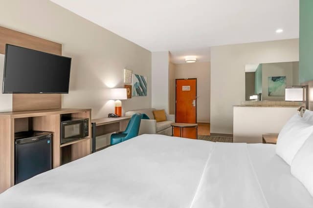Suite, 1 King Bed with Sofa bed, Accessible, Non Smoking