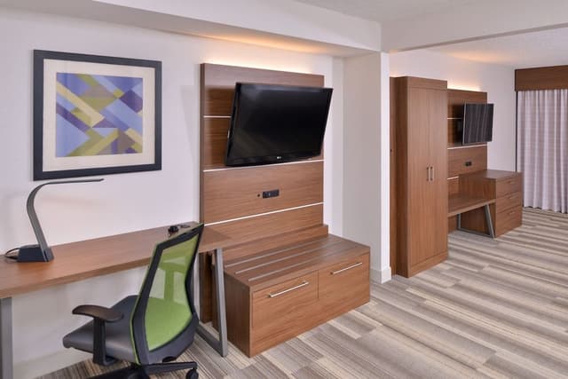 Suite, 1 King Bed with Sofa bed