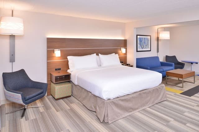 Suite, 1 King Bed with Sofa bed