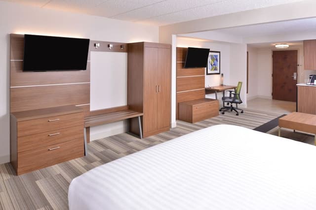 Suite, 1 King Bed with Sofa bed