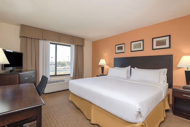 Room, 1 King Bed, Accessible (Mobility Roll-In Shower)