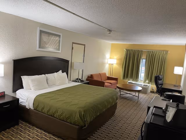 Room, 1 King Bed with Sofa bed, Non Smoking