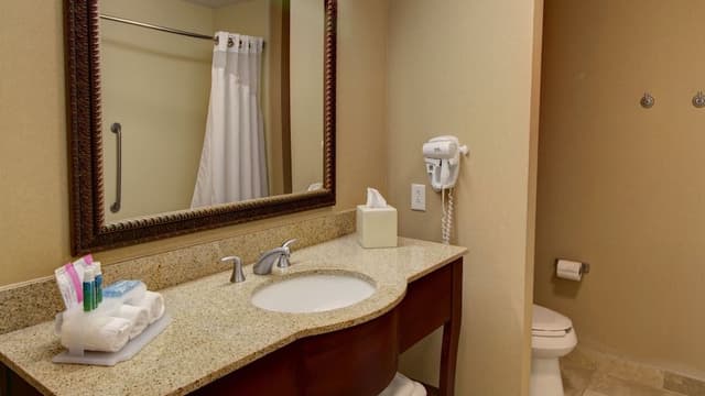 Standard Room, 2 Queen Beds, Accessible (Mobil Access Tub)