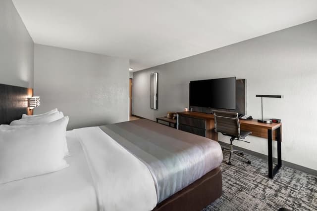 Standard Room, 1 King Bed, Non Smoking