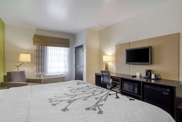 Room, 1 King Bed, Accessible, Non Smoking