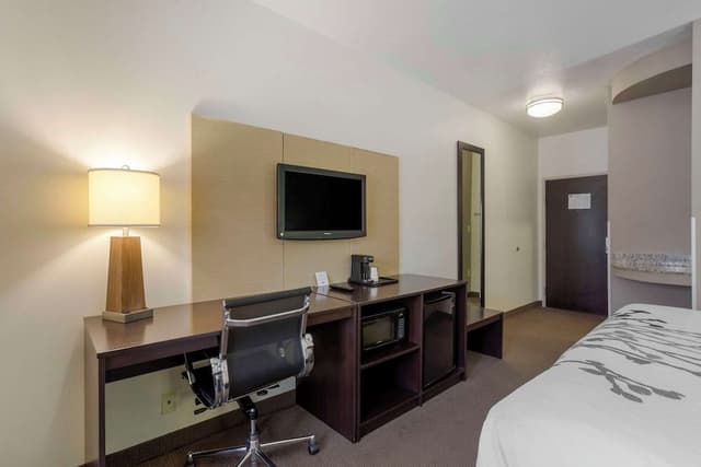Room, 1 King Bed, Accessible, Non Smoking
