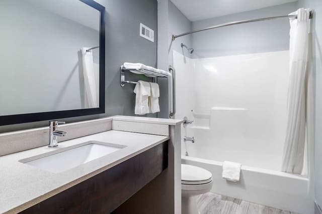 Room, 1 King Bed, Accessible, Non Smoking