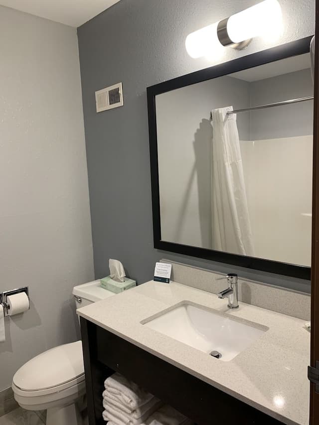 Room, 1 King Bed, Non Smoking