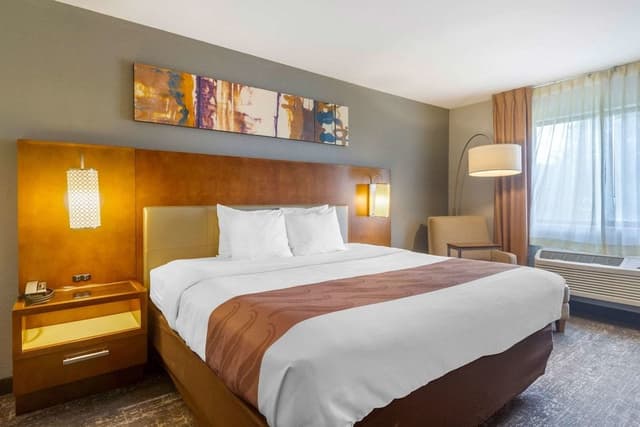 Room, 1 King Bed, Accessible, Non Smoking