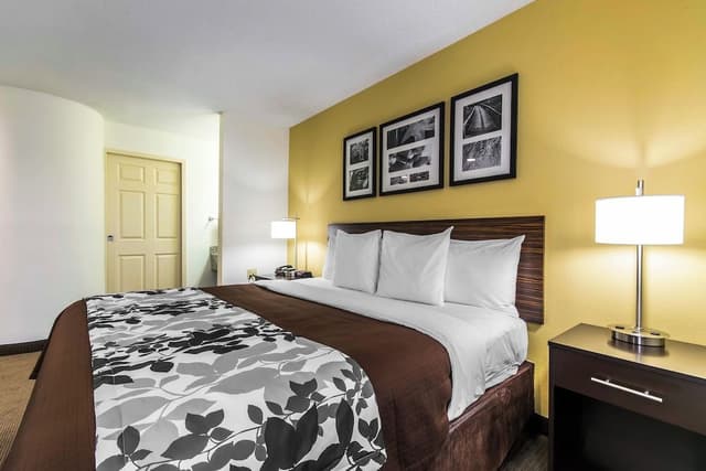 Standard Room, 1 King Bed, Non Smoking