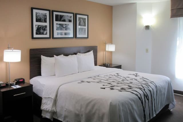 Room, 1 Queen Bed, Accessible, Non Smoking