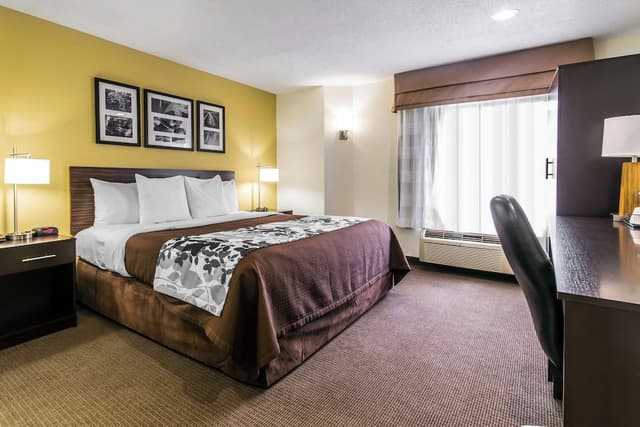 Standard Room, 1 King Bed, Non Smoking