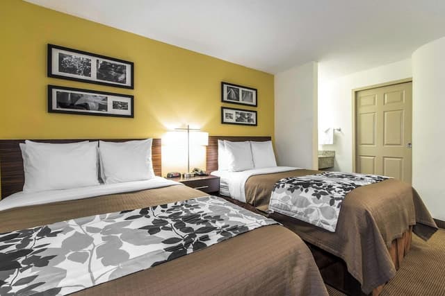 Standard Double Room, 2 Double Beds, Non Smoking