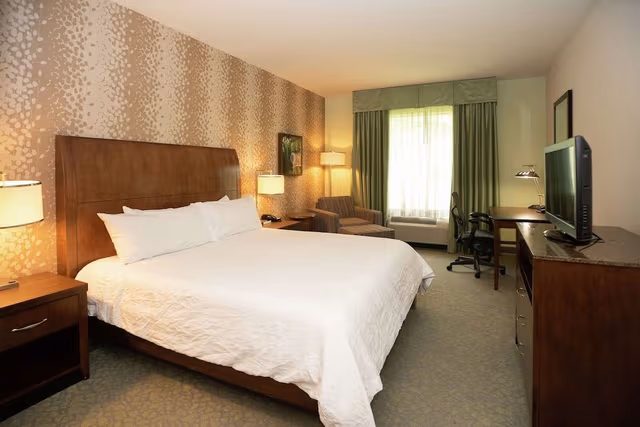 Room, 1 King Bed