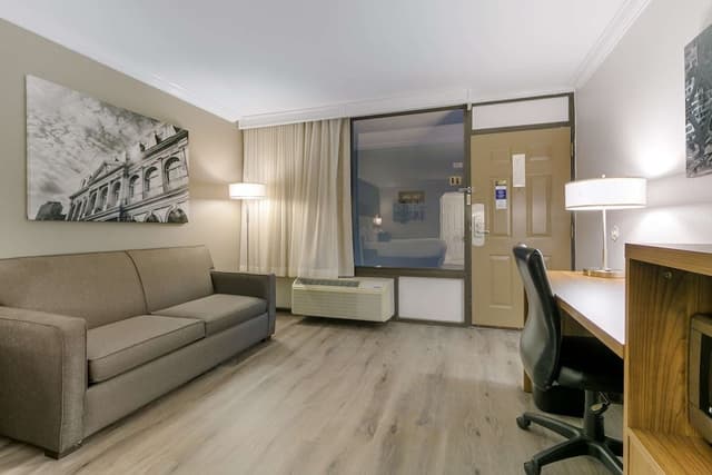 Standard Room, 1 King Bed, Non Smoking, Refrigerator & Microwave (with Sofabed)