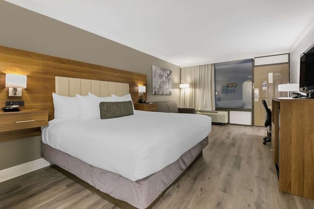 Standard Room, 1 King Bed, Non Smoking, Refrigerator & Microwave (with Sofabed)