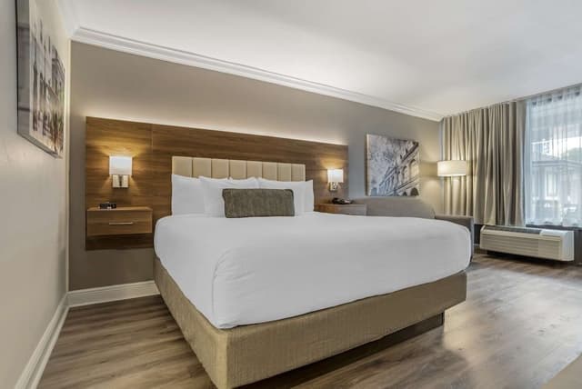 Standard Room, 1 King Bed, Non Smoking, Refrigerator & Microwave (with Sofabed)
