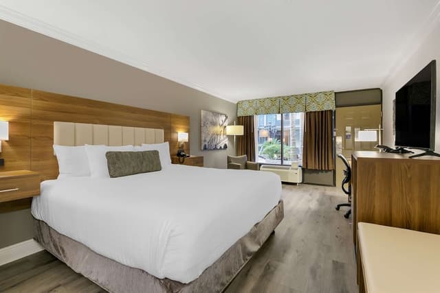 Standard Room, 1 King Bed, Accessible, Bathtub