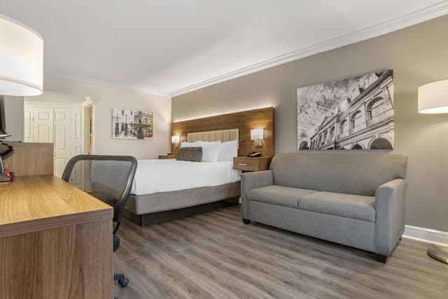 Standard Room, 1 King Bed, Non Smoking, Refrigerator & Microwave (with Sofabed)