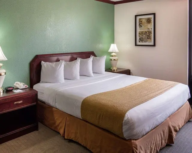 Standard Room, 1 King Bed, Non Smoking