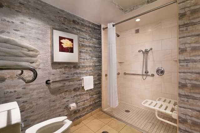 1 KING MOBILITY ACCESSIBLE W/ BATHTUB