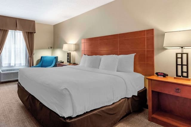 Standard Room, 1 King Bed, Non Smoking