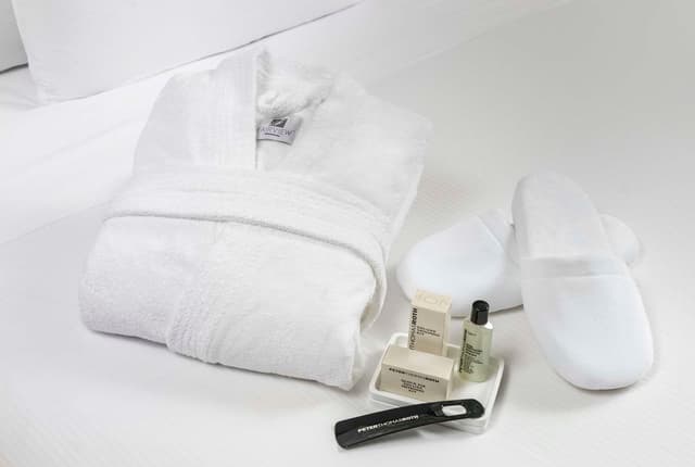 1 KING BED PRESIDENTIAL SUITE