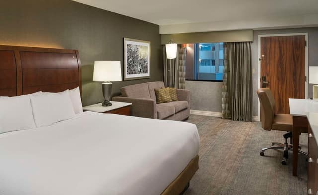 1 KING BED ATRIUM VIEW
