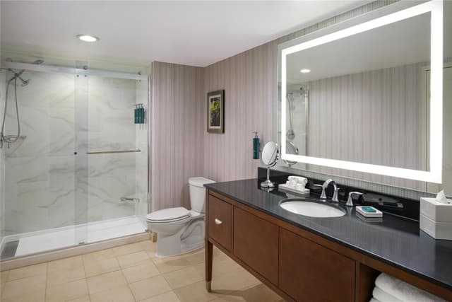 1 KING BED 1 BEDROOM SUITE