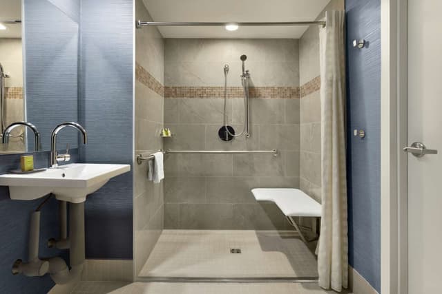 1 KING 1BDRM STE MOBILITY ACCESS ROLL IN SHOW