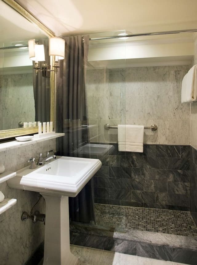 Suite, 1 King Bed with Sofa bed (King or Queen Bed)